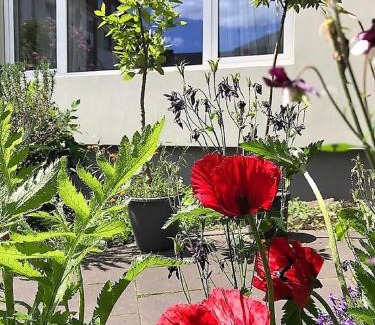 Lutzel Apartment | Stadtoase Koblenz