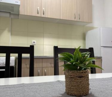 Inija Apartment | Stan Na Dan 111