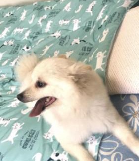 Hakodate Apartment | STAY Akeboshi Kan