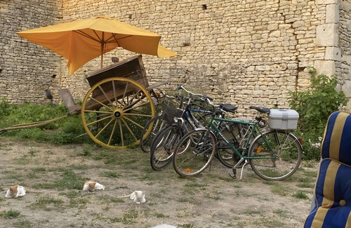 Blanzay House | Stay at La Grange des Zarts: Renovated House, Wi-Fi, Parking, Between Nature and Culture