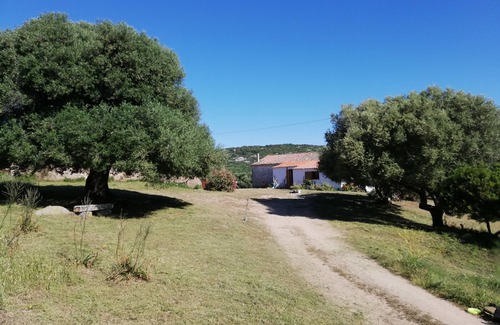 Luogosanto House | Stazzo Chivoni, A XIX Century Country House - A Paradise away from it All!