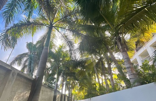 Playa Bibijagua Apartment | Steps away from the beach! Gated, shopping near by, Newly renovated, parking Inc