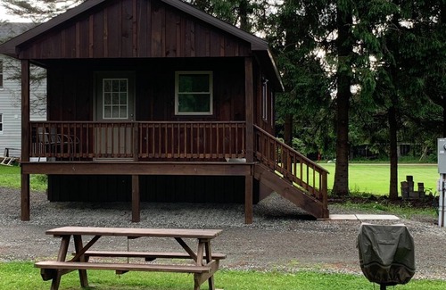 Hancock Cabin | Steps away from world famous Delaware River fishing. Cabins on spacious lot.