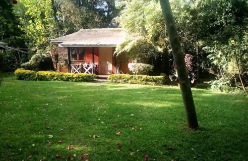 Nanyuki Ski Chalet | Steve's cottage-homely