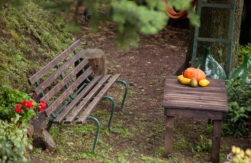 Boveglio House | Stone Rustico with Jacuzzi, Infrared Sauna Escluiva