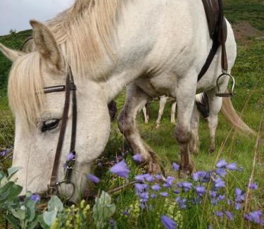 Vallanes Resort | Stora Sandfell Rooms and Cottages