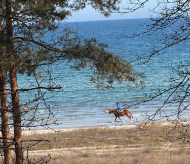 Tarnewitz Apartment | Strandvilla Waldhaus