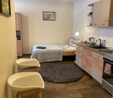 Cesis Apartment | Studio apartamenti Cēsis