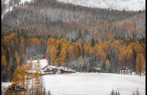 Cortina d'Ampezzo Apartment | Studio apartment 2 beds - 025016-LOC-01433