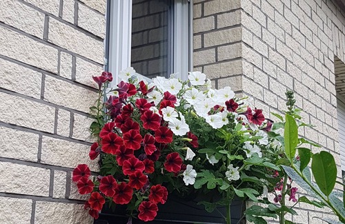 Neustrelitz Apartment | Studio Apartment 'Ferienwohnung Witt' with Wi-Fi