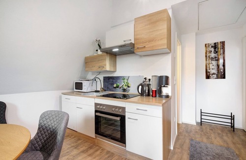 Guenzburg Apartment | Studio Apartment 'Ferienwohnung Erhardt' with Private Terrace and Wi-Fi