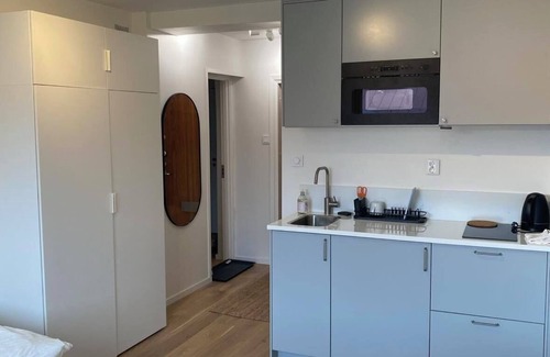 Albano Apartment | Studio Apartment in Odenplan/Vasastan