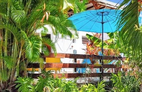 Marigot Apartment | Studio avec vue sur mer à Marigot - 30 m² - Jardin