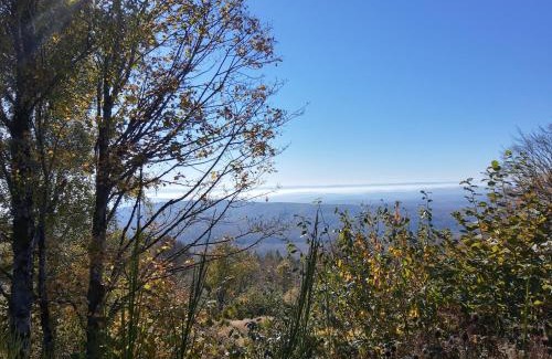 Auxelles-Haut Apartment | Studio calme et lumineux avec terrasse