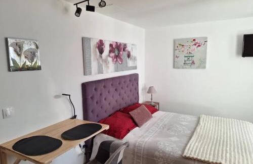 Valff Apartment | Studio charmant à Valff avec jardin privé - 20 m²