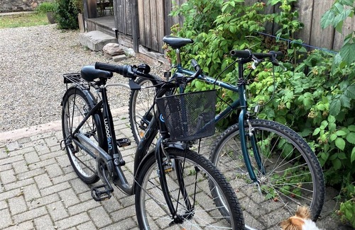 Muttersholtz Apartment | Studio Cosy à la Campagne