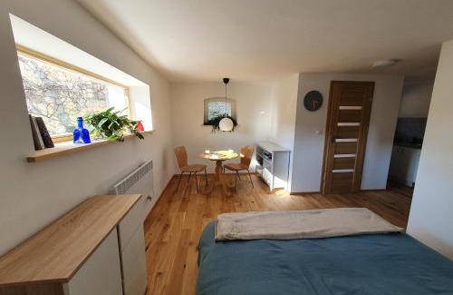 Bystrzyca Kłodzka Apartment | Studio Dudek