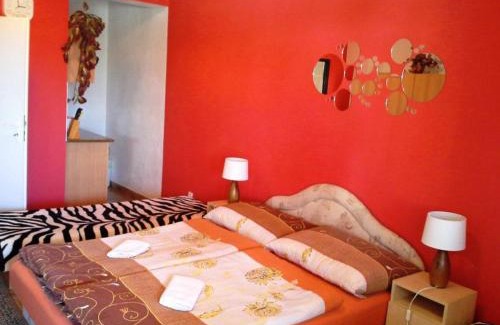 Sturovo House | Studio Florida