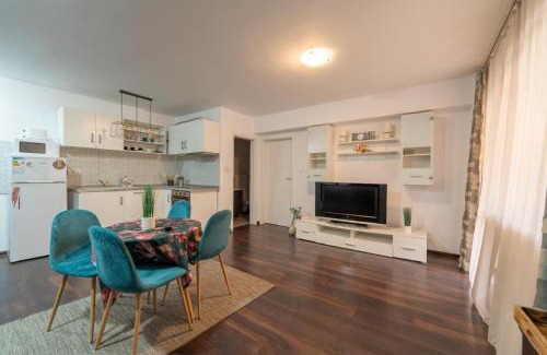 Sfantu Gheorghe Apartment | Studio Fortuna Park