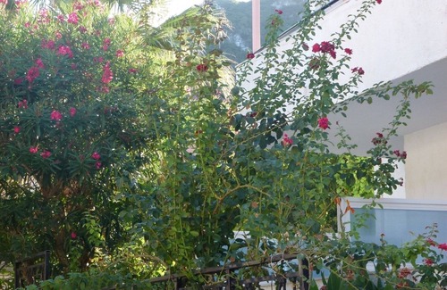 Benitses Apartment | Studio "Galini Studios 3" Near the Beach with Wi-Fi, A/C & Balcony