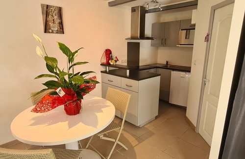 Mimet Apartment | Studio Le Cèdre Avec Piscine