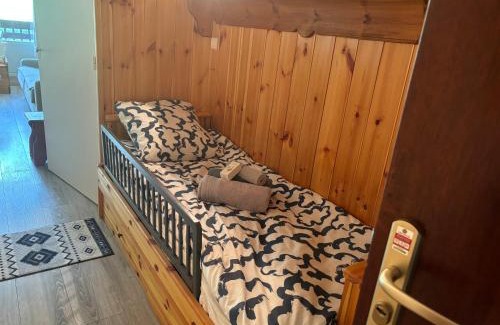 La Salle-les-Alpes Apartment | Studio Le P'tit Aigle pied des pistes et télécabine départ ski au pied