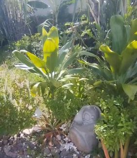 Papeete Apartment | Studio-Tevai