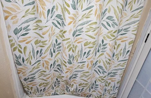 Carrolls House | Studio