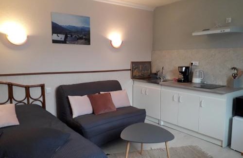 Argeles Gazost Apartment | Studio Vue Val d'Azun dans Villa historique "Victoria"