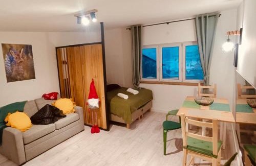 Duszniki Zdroj Apartment | Studio z sauną