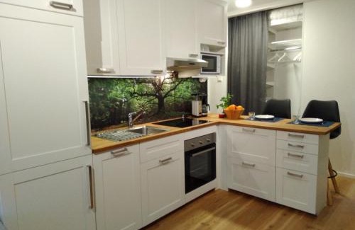 Lohja Apartment | Studiohuoneisto Lohjan keskusta