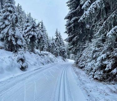 Horni Blatna House | Stuga Horni Blatna