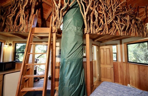 Cave Junction Resort | Stunning 47 foot high Treehouse!