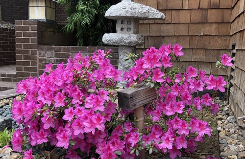 Covenant House | Stunning Family Retreat Near Beach