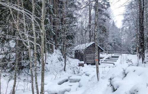 Alvdalen House | Stunning Home In Älvdalen With Sauna