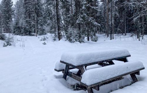 Alvdalen House | Stunning Home In Älvdalen With Sauna