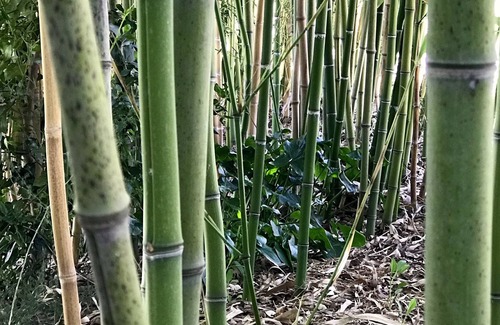 Bettolelle House | Stunning valley view just a step away from the sea