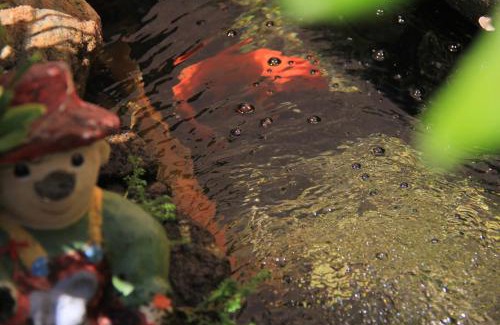 Meaipe Hotel | Suíte com Cozinha Compacta