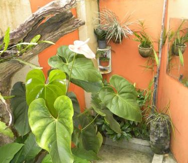 Meaipe Hotel | Suíte com Cozinha Compacta