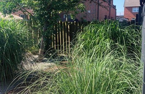 Borkum Apartment | Südstrand Hus - Holiday with dog - Appartement 2