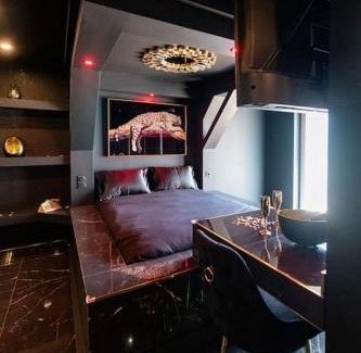 Firminy Apartment | Suite D&S Luxury Room