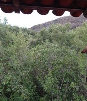 Vila Velha Apartment | Suite da Fernanda