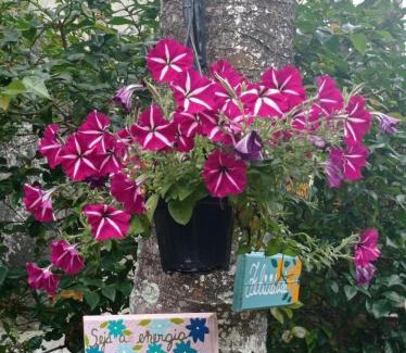 Vila Velha Apartment | Suite da Fernanda