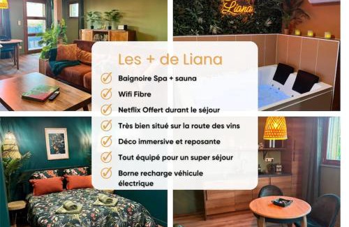 Rorschwihr House | Suite LIANA - SPA- SAUNA