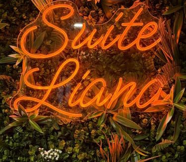 Rorschwihr House | Suite LIANA - SPA- SAUNA