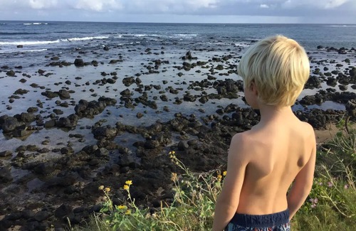 Kuau Apartment | Suite on North Shore property. Walk to beach & town!