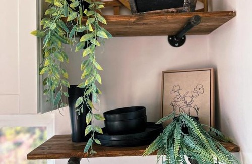 Mount Charleston Other | Suite Spot LV