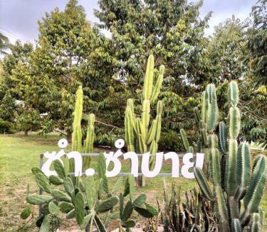 Wang Thong House | Sum sumbuy ซำ ซำบาย โฮมสเตย์