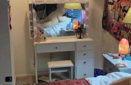 Napa House | Summer Sublet in Napa with POOL - pet friendly