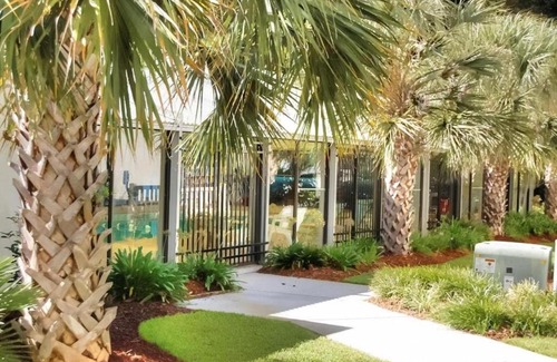 Myrtle Beach Apartment | Summertree D8